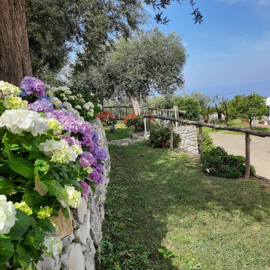 Villa Raf Vico Equense Dış mekan fotoğraf