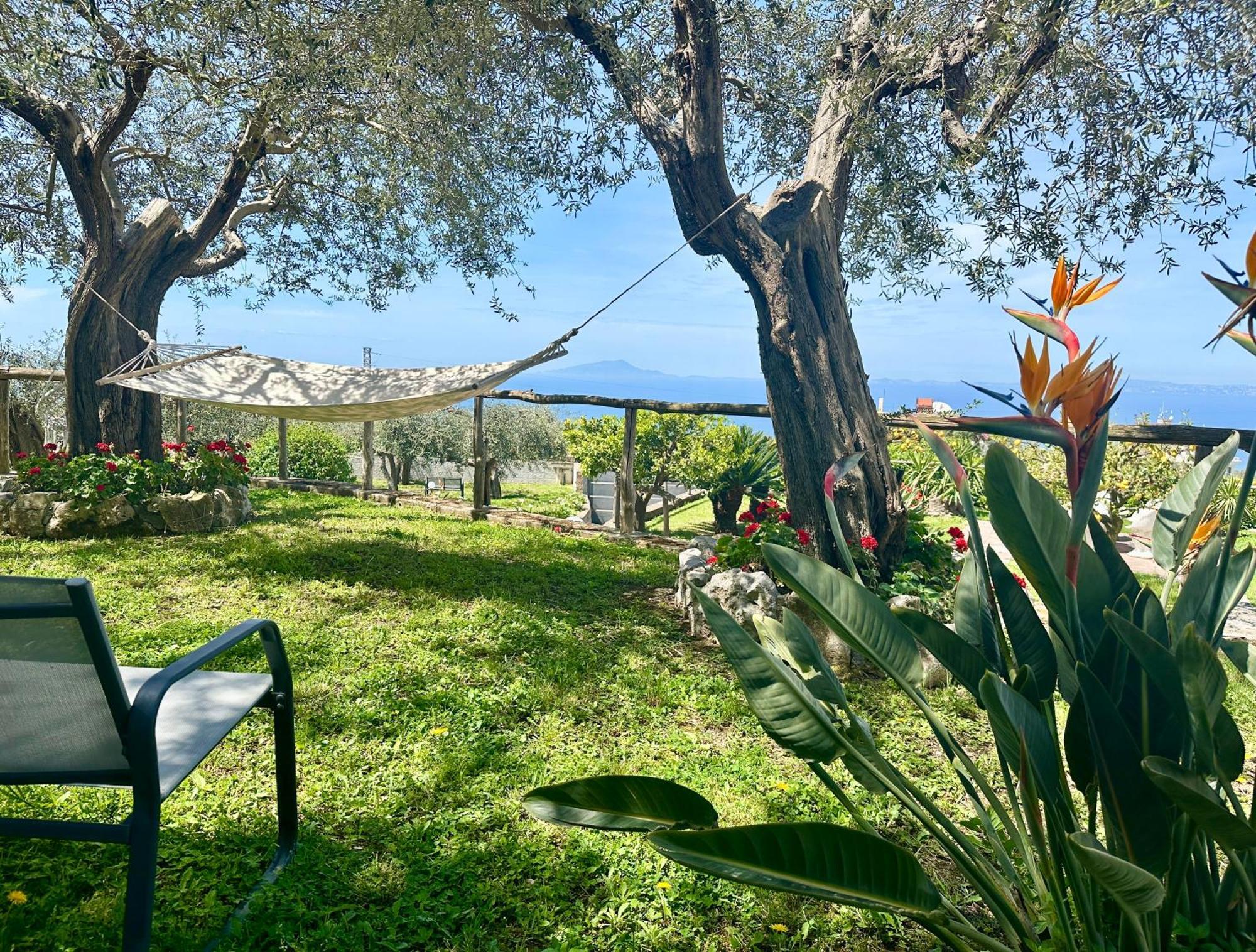 Villa Raf Vico Equense Dış mekan fotoğraf
